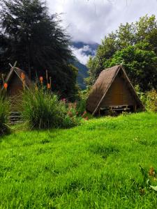 a house with a thatched roof in a field of grass at EcoSereno Salkantay Huts Chaullay in Santa Teresa