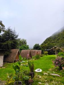 a group of houses in a field with a hill at EcoSereno Salkantay Huts Chaullay in Santa Teresa