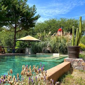 Bazén v ubytování Nomada Glamping & Aguas Termales - San Miguel de Allende X NANTLI LIVING nebo v jeho okolí + 25 fotografií
