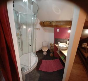 a bathroom with a shower and a toilet and a sink at Chambre au calme - Université in Dijon