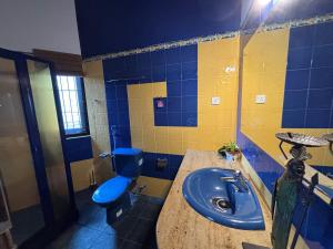 a bathroom with a blue toilet and a sink at Villa Plum Colombo in Battaramulla +30 photos