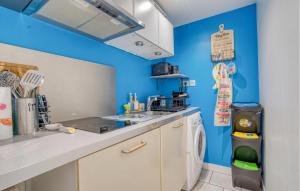 eine Küche mit einer Waschmaschine und blauen Wänden in der Unterkunft Charmante Maison Proche Plage in Royan
