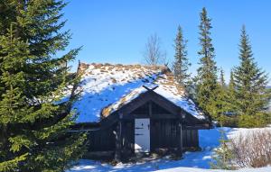 Beautiful Home In Nesbyen With Sauna v zimě