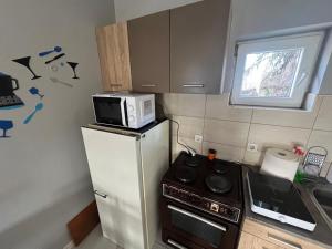 a kitchen with a microwave on top of a refrigerator at Milić apartmani 2 in Kuršumlija