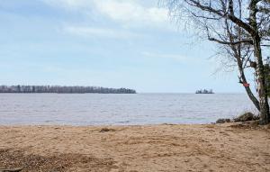 a tree on a beach next to a body of water at Pet Friendly Home In Julita in Julita