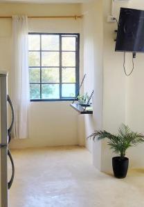 a living room with a window and a potted plant at Studio apartment in the mountains in Santa Marta