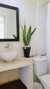 a bathroom with a sink and a toilet and a mirror at Studio apartment in the mountains in Santa Marta +27 photos