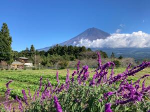 度假屋周边自然景观