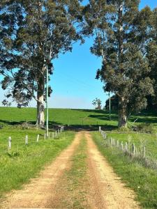 a dirt road in a field with two trees at Grandad's farmhouse in Northcliffe