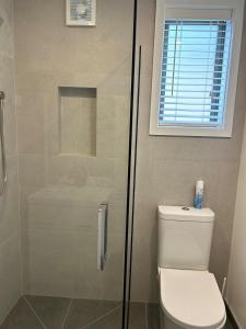 Un baño con inodoro y ducha de cristal. en Apartment 5 on Armagh!, en Christchurch 9 fotos más