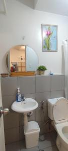 a bathroom with a sink and a toilet and a mirror at Cebu Homestay Rental in Mandaue City