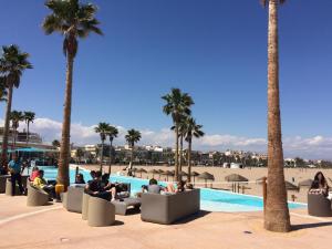 personas sentadas en sillas junto a una piscina con palmeras en Ravalencia I, en Valencia