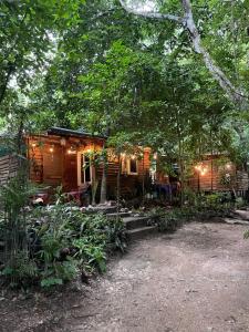 Κήπος έξω από το Woodpecker cabin