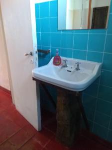 Un baño con un lavabo con una botella de jabón encima. en CasonaLasChilcas, en Tandil