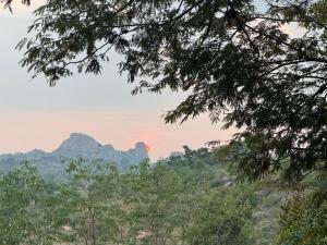Φυσικό τοπίο κοντά σε αυτό το κατάλυμα σε φάρμα