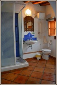 a bathroom with a shower and a toilet and a sink at La Carrihuela in Algodonales +113 photos