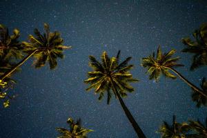 Fotografie z fotogalerie ubytování Amihan Beach Hostel v destinaci San Vicente