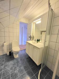 Koupelna v ubytování Stor hytte med fantastisk utsikt