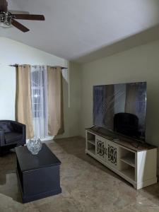TV a/nebo společenská místnost v ubytování Bridgeview Arcadia Three