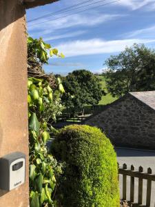 Blick auf einen Hof mit Hecke und Haus in der Unterkunft Cosy cottage in Snowdonia hamlet in Frongoch + 33 Fotos