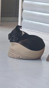 Billede fra billedgalleriet på Homestead Holandriver,Lake Skulerud i Skulerud