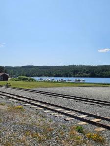 Billede fra billedgalleriet på Homestead Holandriver,Lake Skulerud i Skulerud