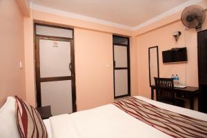 TV a/nebo společenská místnost v ubytování Kathmandu City Hotel