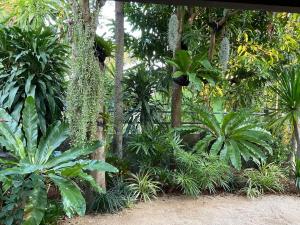 un giardino con un sacco di piante e alberi di Boutique Beach Cottage - Steps to Beach a Nathon Bay