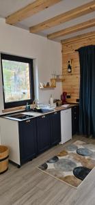 a kitchen with a sink and a counter top at Casuta CORE in Sadova