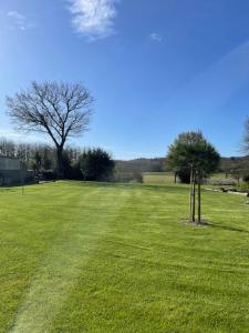 a field of green grass with a tree in it at La Martinière in Saint-Martin-sur-Oust