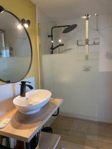 a bathroom with a sink and a shower at La Martinière in Saint-Martin-sur-Oust +21 photos