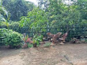 Vrt pred nastanitvijo Jungle View Guest