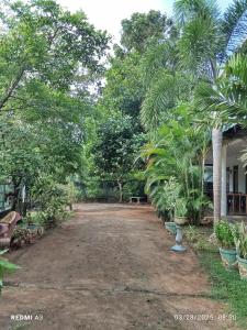 Vrt pred nastanitvijo Jungle View Guest