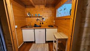 a kitchen with a counter and a sink in a cabin at CabanaLanz, Cabañas en Lanzarote in San Bartolomé