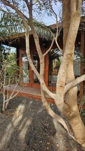 Fotografie z fotogalerie ubytování CabanaLanz, Cabañas en Lanzarote v destinaci San Bartolomé