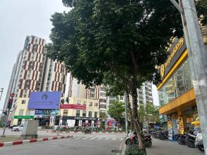 un árbol en medio de una ciudad con edificios en Warm Haven 501DM, en Hanói