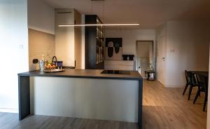 Kuchyň nebo kuchyňský kout v ubytování luxusowy apartament w centrum Krakowa