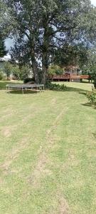 a large grass field with a tree and a bench at LARA'S PLACE in Volksrust +3 photos
