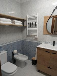 a bathroom with a toilet and a sink and a mirror at O Pisiño de Andrés in Caldas de Reis +28 photos
