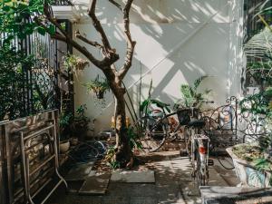 a tree in the middle of a room with plants at LA MER Homestay Quynhon in Quy Nhon