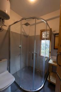 a shower with a glass enclosure in a bathroom at Eden Stay & Cafe in Jibhi