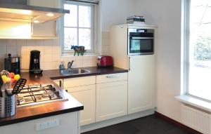 a kitchen with a sink and a stove top oven at Buitengoed Het Lageveld - 56 in Hoge-Hexel