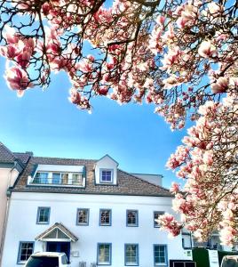 un bâtiment blanc avec des fleurs roses devant dans l'établissement Charmantes Haus Nähe Bonn Köln Messe Phantasialand, à Bornheim