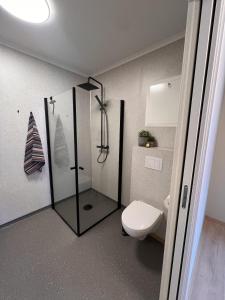 a bathroom with a shower and a toilet at Mountain View apartment in Isfjorden +14 photos