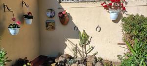 A garden outside Casa in giardino
