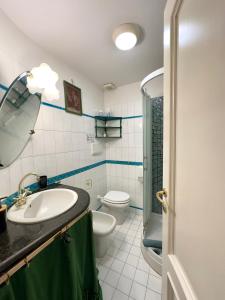 a bathroom with a sink and a toilet and a mirror at Belvedere House in Castel Gandolfo