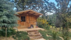 a log cabin with a porch in a garden at Villa Roza in Murarátka