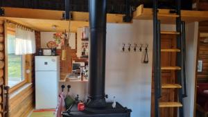 a wood stove in a kitchen with a refrigerator at Villa Roza in Murarátka