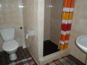 a bathroom with a toilet and a shower at Penzion Mája Benecko in Benecko