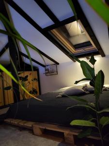 een slaapkamer met een bed en een plant bij Къща за гости Mia Maria in Tutrakan